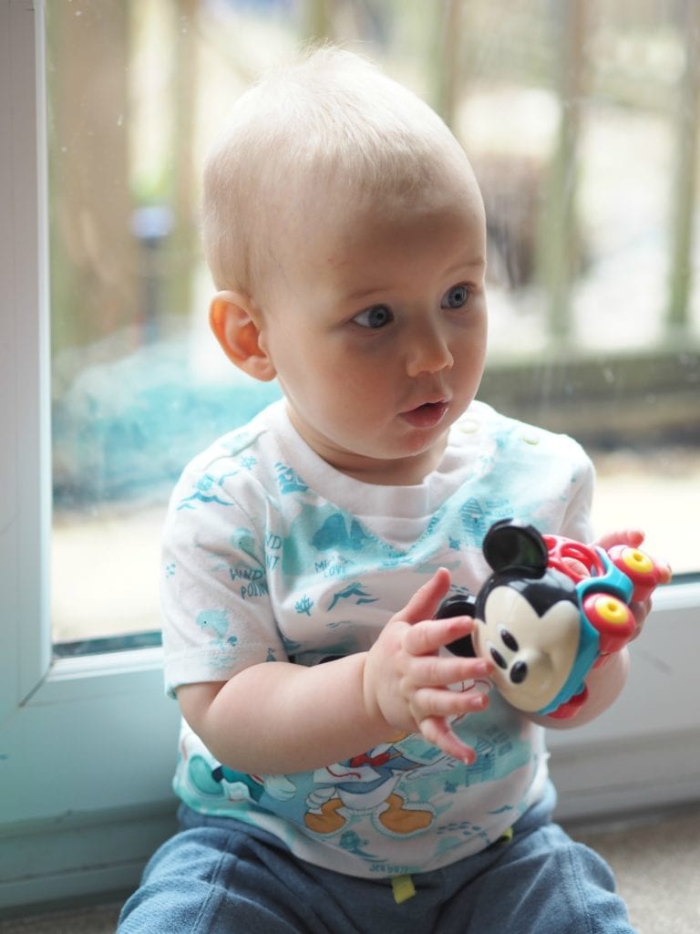 Having Fun with Disney Baby Collection 1